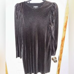 Express Elegant Long Sleeve black Dress